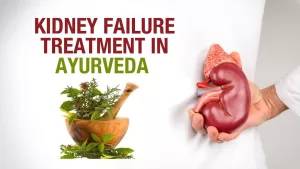 Ayurvedic Remedies For Kidney Failures